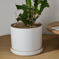 Author Pot with Saucer Set of 4 By Accent Decor | Planters, Troughs & Cachepots | Modishstore - 17
