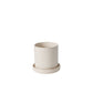 Morse Pot with Saucer Set of 4 By Accent Decor | Planters, Troughs & Cachepots | Modishstore - 2