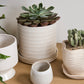 Morse Pot with Saucer Set of 4 By Accent Decor | Planters, Troughs & Cachepots | Modishstore - 7