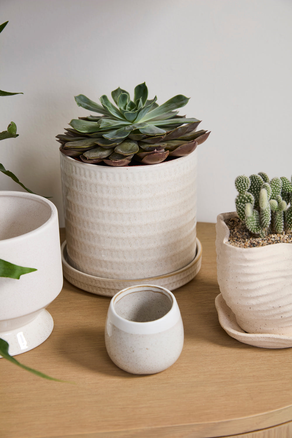 Morse Pot with Saucer Set of 4 By Accent Decor | Planters, Troughs & Cachepots | Modishstore - 7
