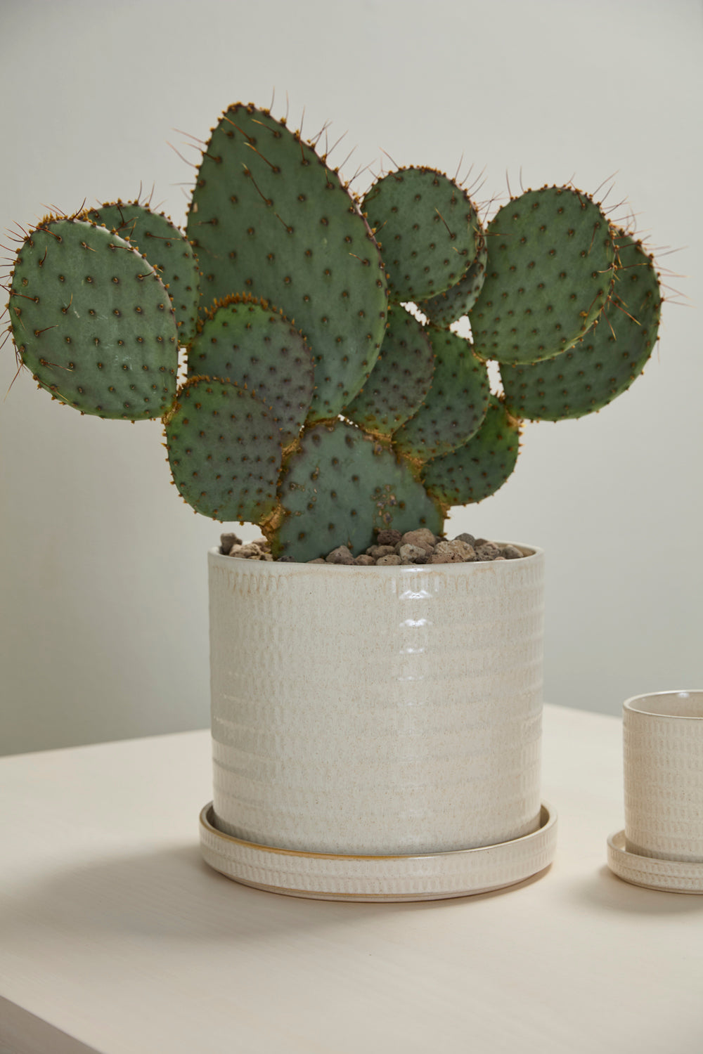 Morse Pot with Saucer Set of 4 By Accent Decor | Planters, Troughs & Cachepots | Modishstore - 12