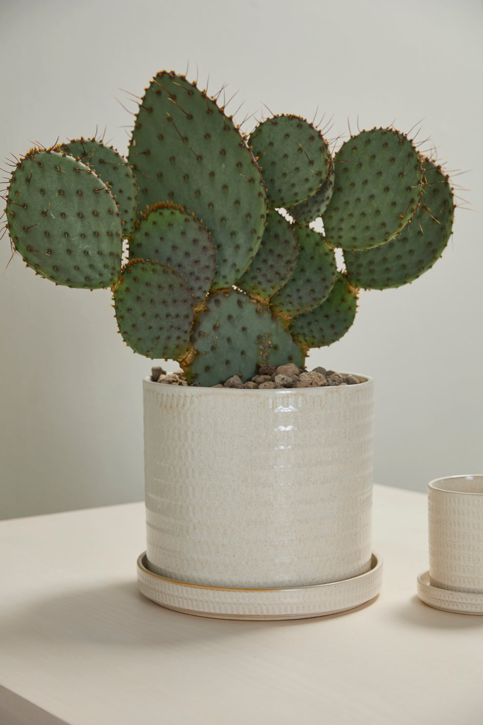 Morse Pot with Saucer Set of 4 By Accent Decor | Planters, Troughs & Cachepots | Modishstore - 12