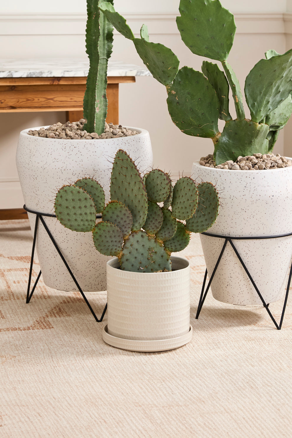 Morse Pot with Saucer Set of 4 By Accent Decor | Planters, Troughs & Cachepots | Modishstore - 13