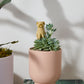 Tarrytown Pot with Saucer Set of 8 By Accent Decor | Planters, Troughs & Cachepots | Modishstore - 6