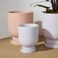 Tarrytown Pot with Saucer Set of 8 By Accent Decor | Planters, Troughs & Cachepots | Modishstore - 11