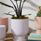 Tarrytown Pot with Saucer Set of 8 By Accent Decor | Planters, Troughs & Cachepots | Modishstore - 15