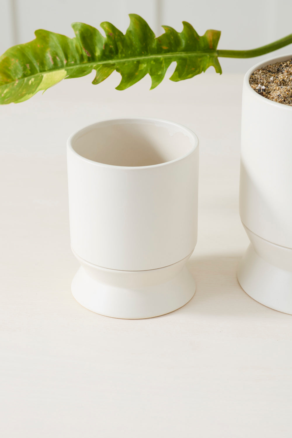 Madison Pot with Saucer Set of 2 By Accent Decor | Wall Decor | Modishstore - 11