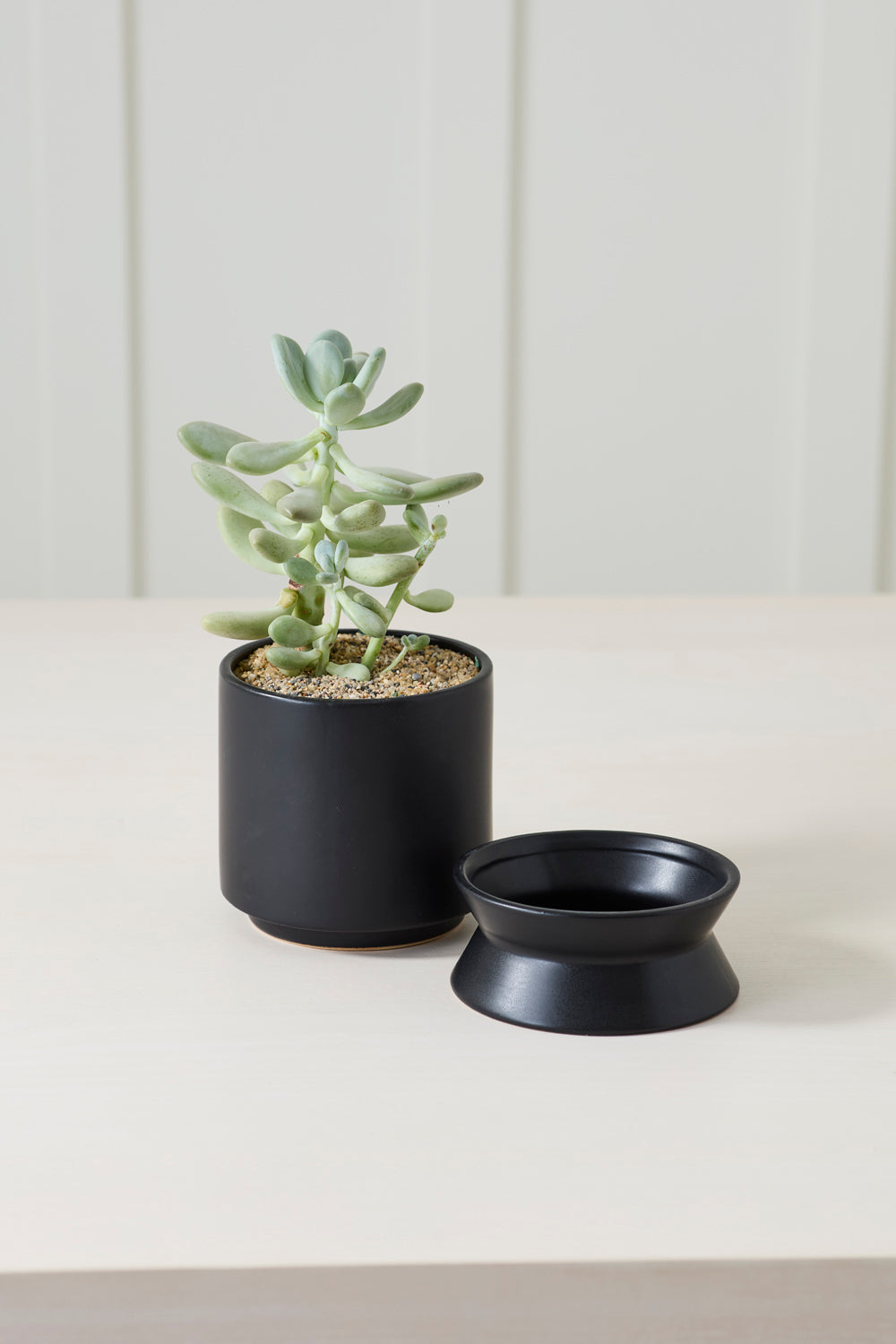 Madison Pot with Saucer Set of 2 By Accent Decor | Wall Decor | Modishstore - 19