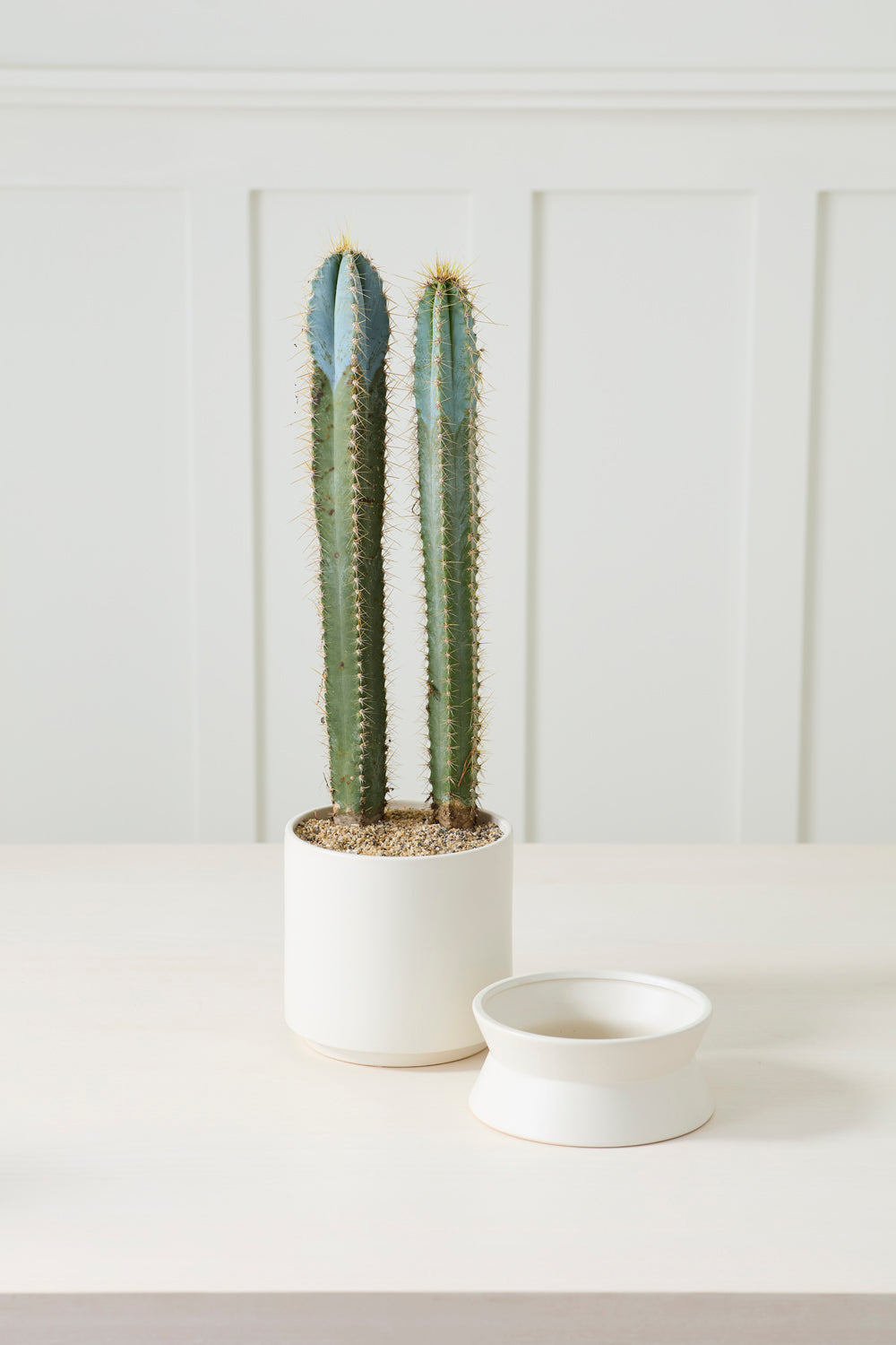 Madison Pot with Saucer Set of 2 By Accent Decor | Wall Decor | Modishstore - 16