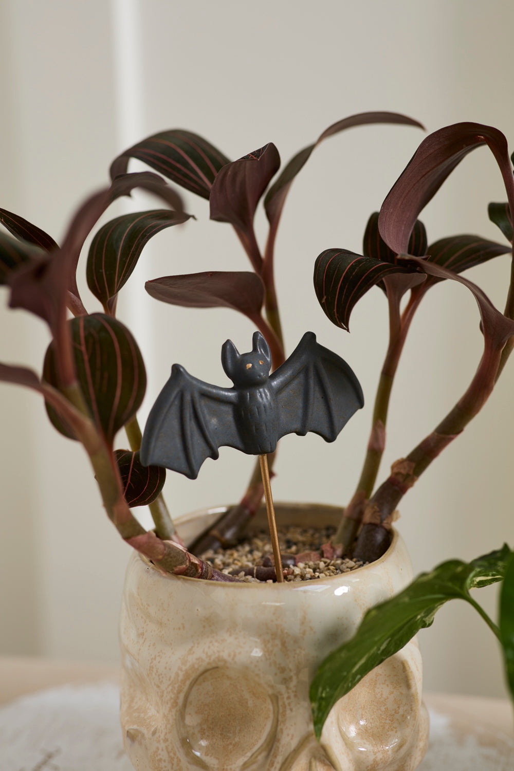 Small Spooks Plant Sticks Set of 4 By Accent Decor | Planters, Troughs & Cachepots | Modishstore - 4