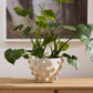 Hanover Pot By Accent Decor | Wall Decor | Modishstore - 4
