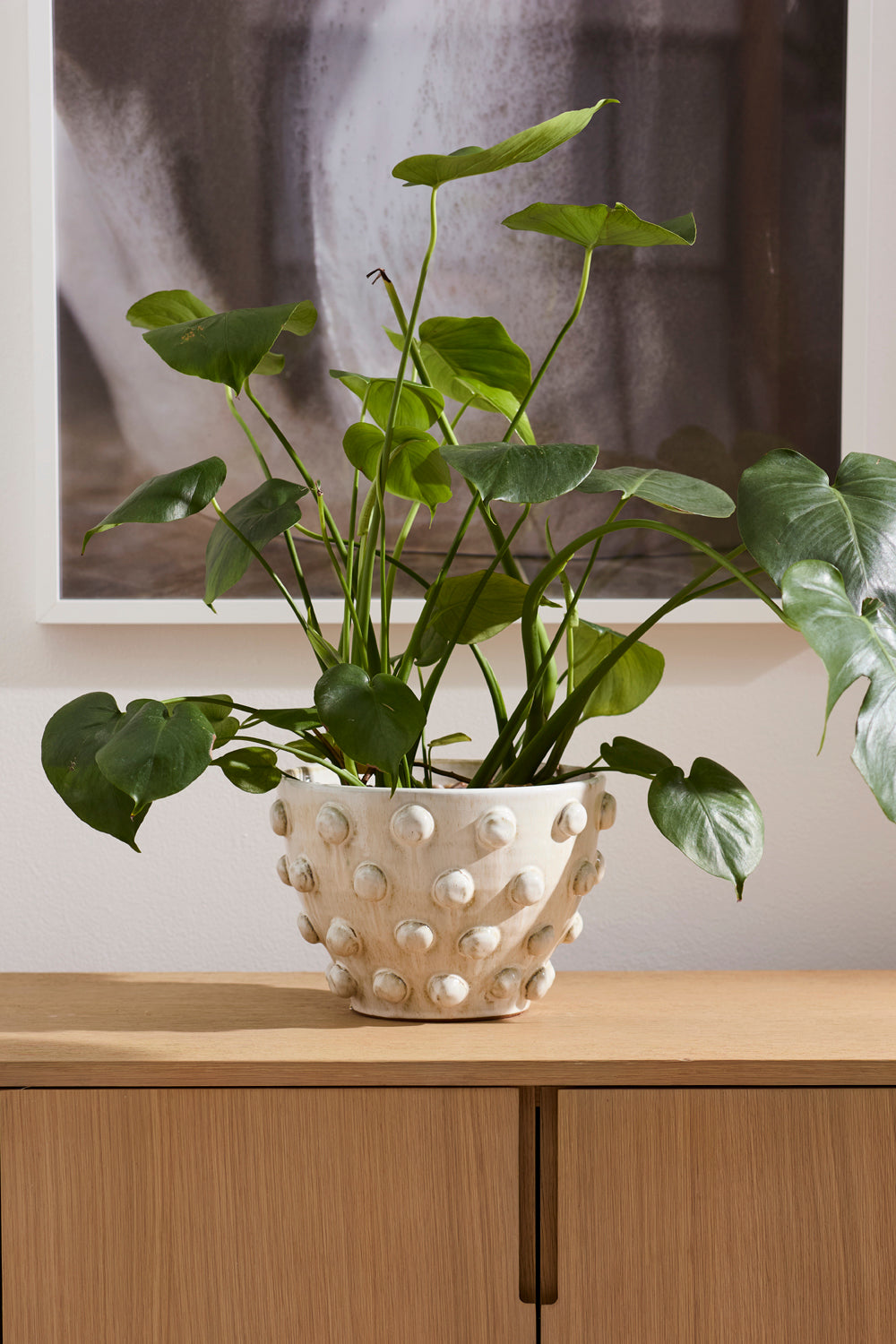 Hanover Pot By Accent Decor | Wall Decor | Modishstore - 4