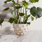 Hanover Pot By Accent Decor | Wall Decor | Modishstore - 5