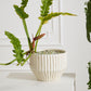 Cameron Pot By Accent Decor | Wall Decor | Modishstore - 4