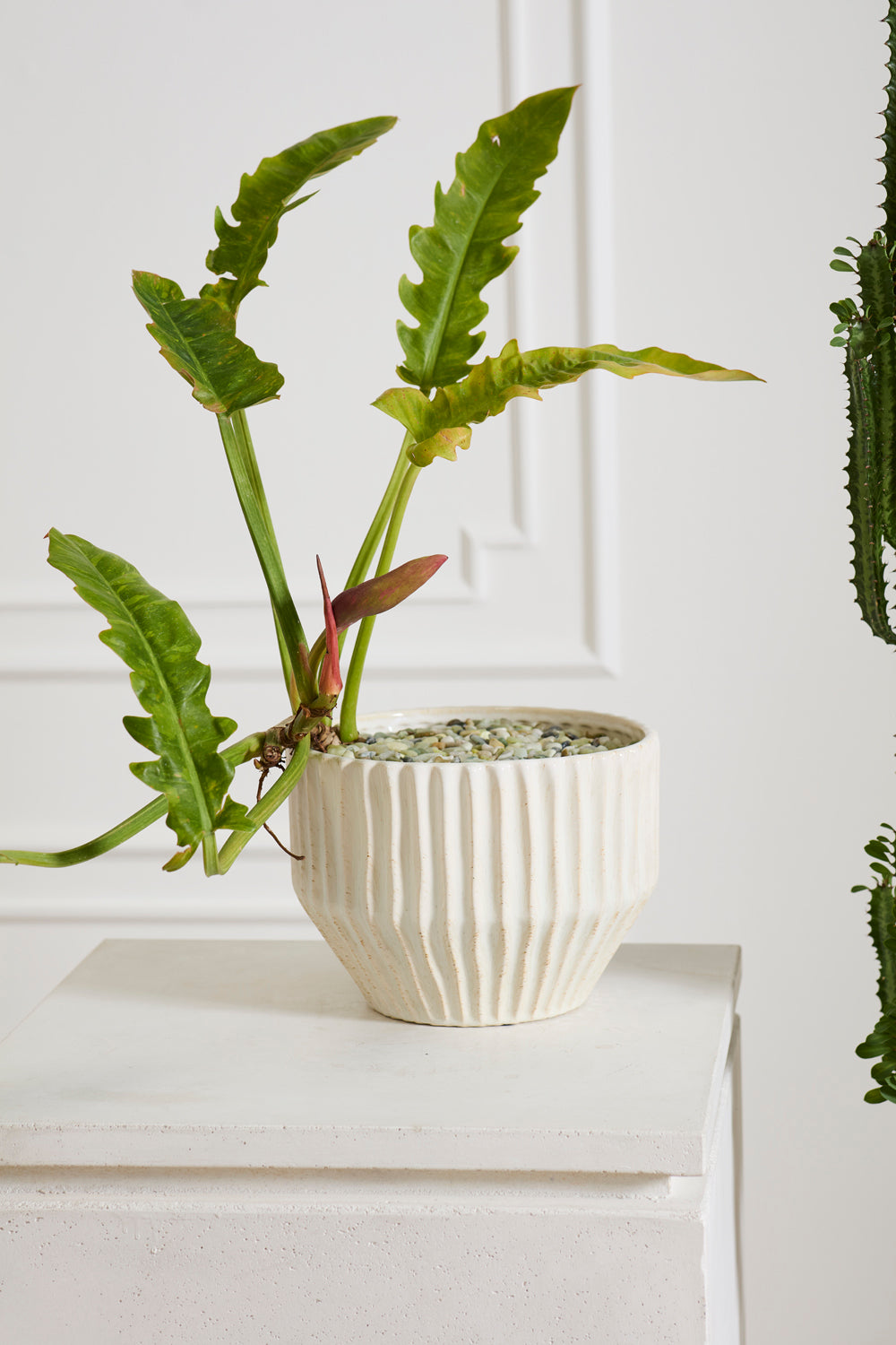 Cameron Pot By Accent Decor | Wall Decor | Modishstore - 4