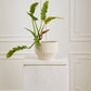 Cameron Pot By Accent Decor | Wall Decor | Modishstore - 5