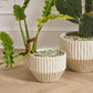 Cameron Pot By Accent Decor | Wall Decor | Modishstore - 6