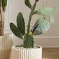 Cameron Pot By Accent Decor | Wall Decor | Modishstore - 12