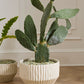 Cameron Pot By Accent Decor | Wall Decor | Modishstore - 14