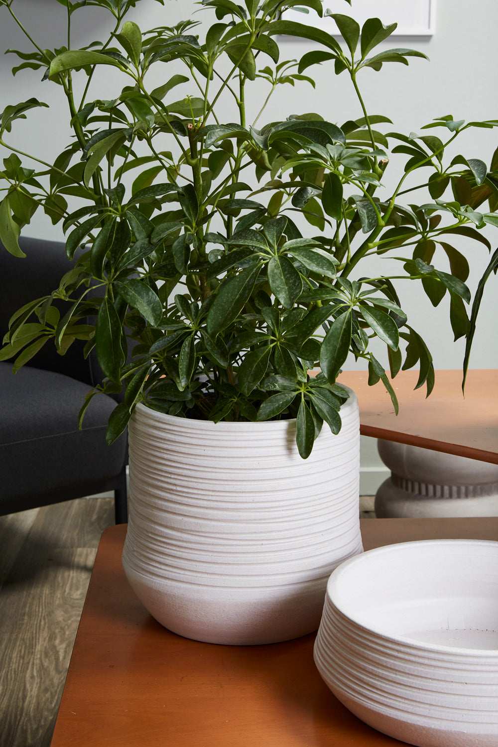 Offshore Collection Set of 2 By Accent Decor | Planters, Troughs & Cachepots | Modishstore - 6