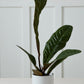 Kellen Pot Set of 4 By Accent Decor | Wall Decor | Modishstore - 10