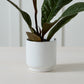 Kellen Pot Set of 4 By Accent Decor | Wall Decor | Modishstore - 9