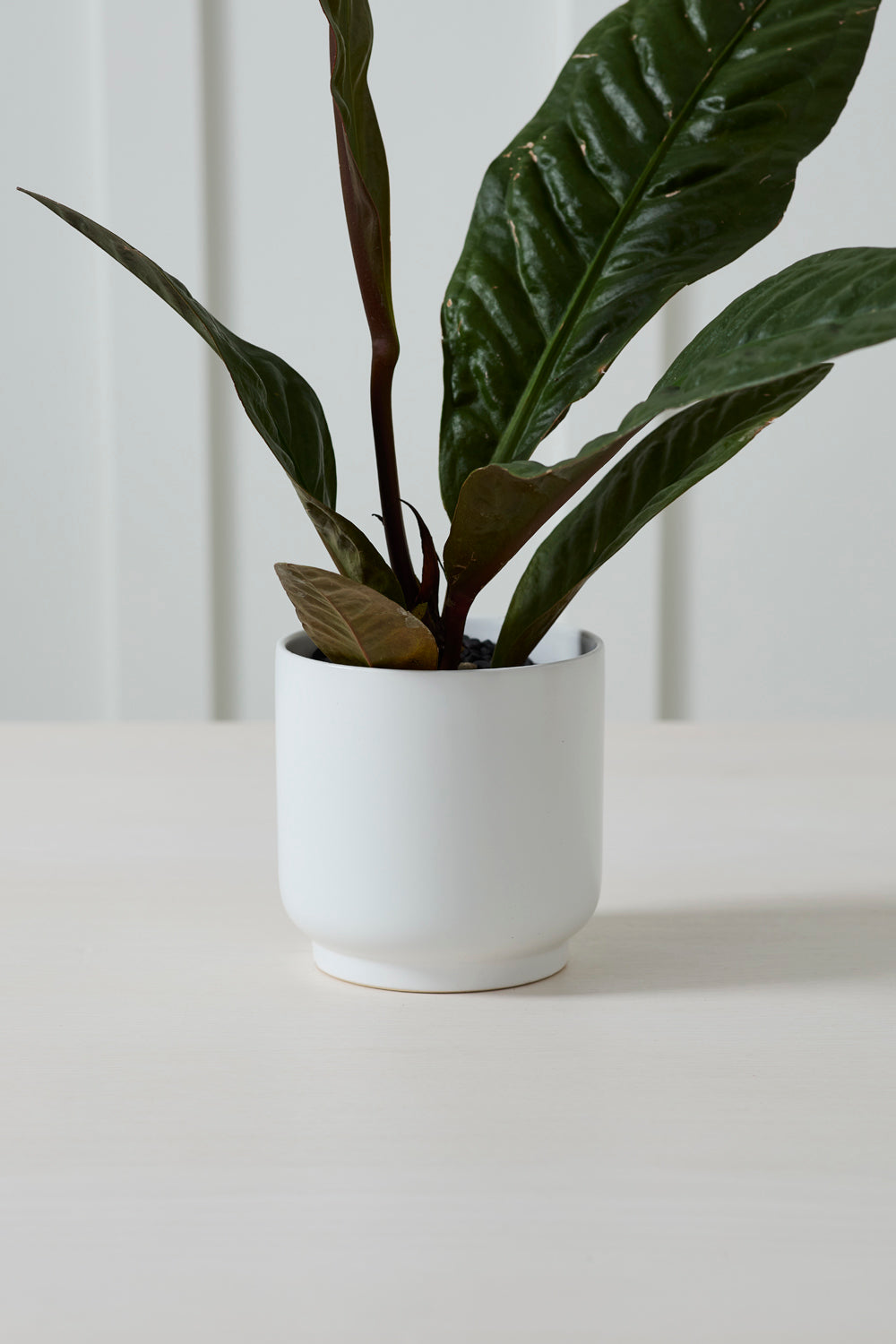 Kellen Pot Set of 4 By Accent Decor | Wall Decor | Modishstore - 9