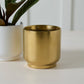 Kellen Pot Set of 4 By Accent Decor | Wall Decor | Modishstore - 7