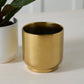 Kellen Pot Set of 4 By Accent Decor | Wall Decor | Modishstore - 6