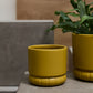 Fara Pot Set of 8 By Accent Decor | Stands | Modishstore - 4