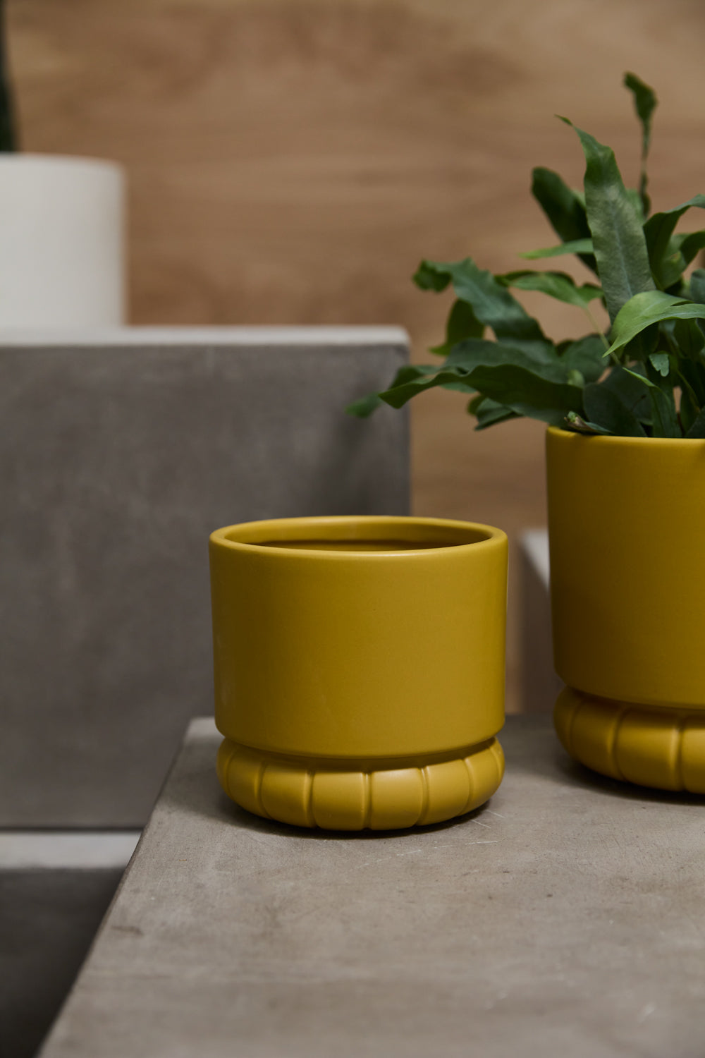 Fara Pot Set of 8 By Accent Decor | Stands | Modishstore - 4