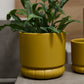 Fara Pot Set of 8 By Accent Decor | Stands | Modishstore - 6