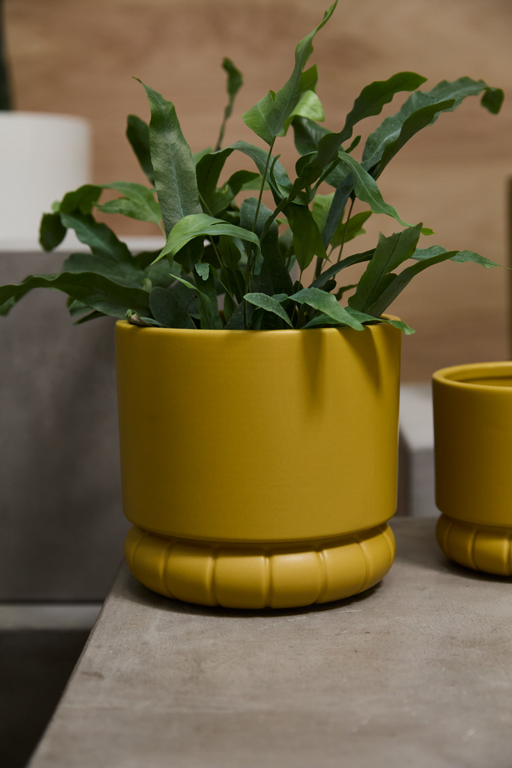Fara Pot Set of 8 By Accent Decor | Stands | Modishstore - 6