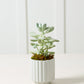 Carmen Pot Set of 8 By Accent Decor | Stands | Modishstore - 15