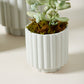 Carmen Pot Set of 8 By Accent Decor | Stands | Modishstore - 16