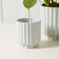 Carmen Pot Set of 8 By Accent Decor | Stands | Modishstore - 18