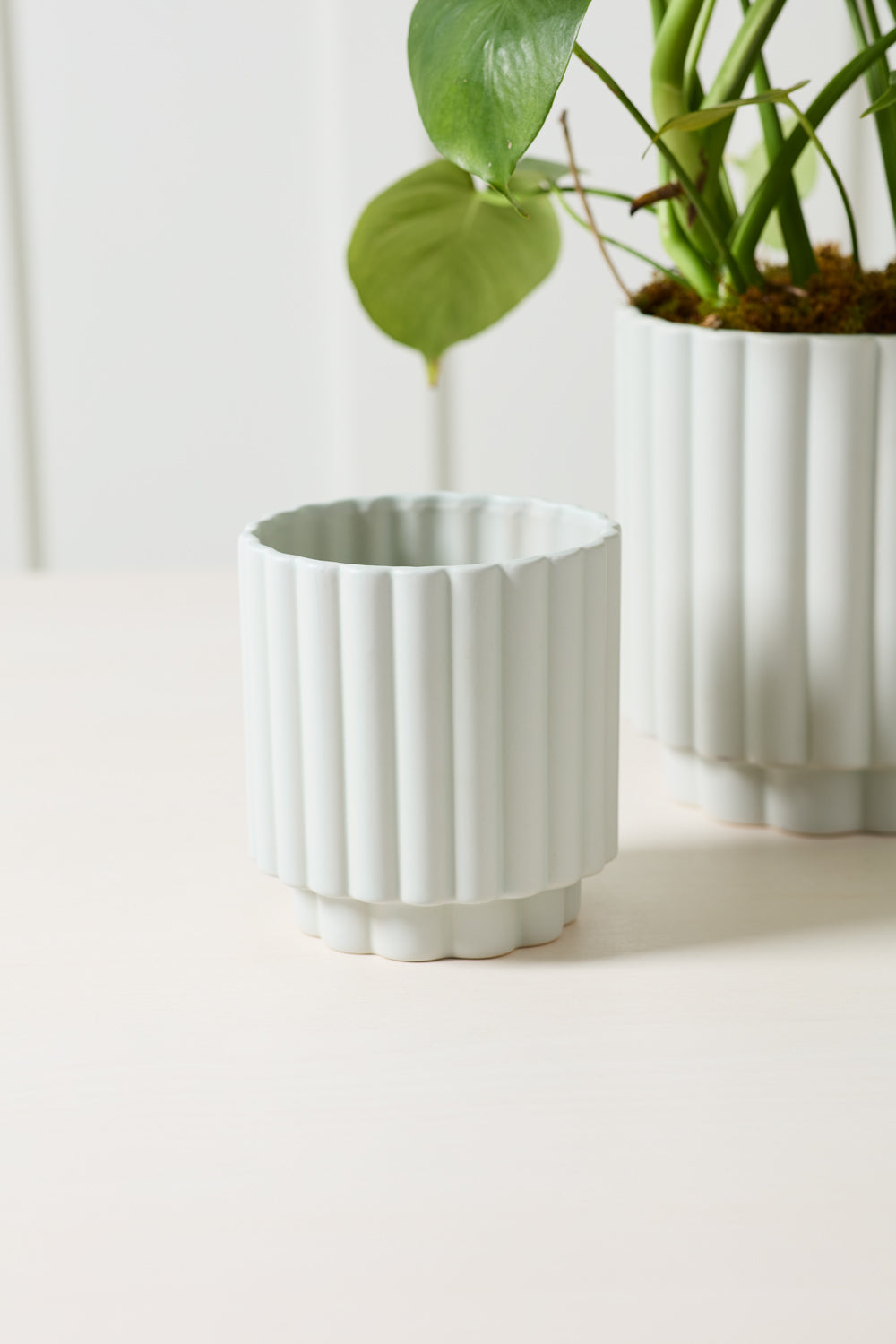 Carmen Pot Set of 8 By Accent Decor | Stands | Modishstore - 18