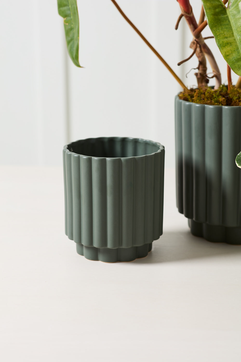 Carmen Pot Set of 8 By Accent Decor | Stands | Modishstore - 11
