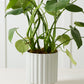 Carmen Pot Set of 8 By Accent Decor | Stands | Modishstore - 20