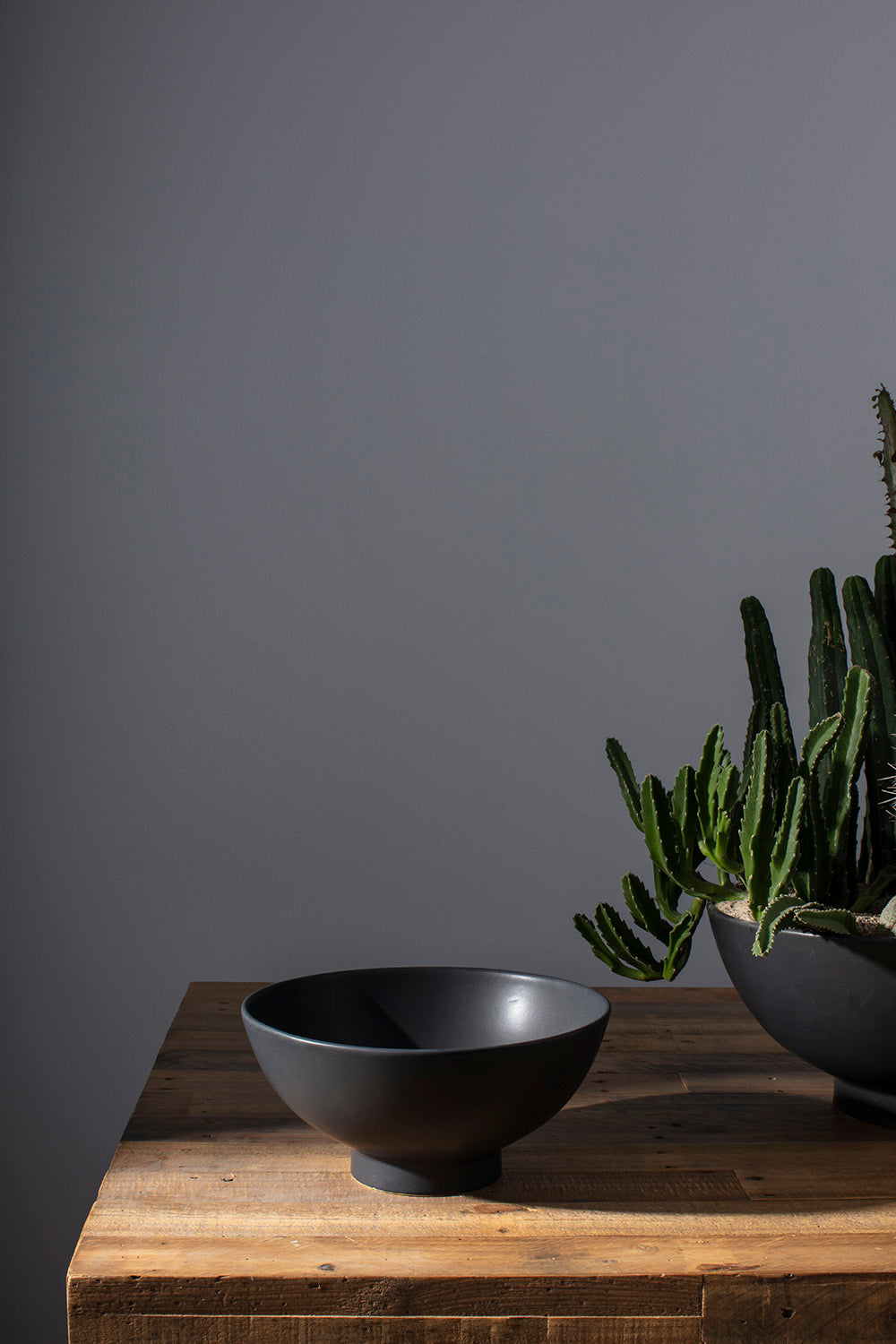 Fortis Bowl By Accent Decor | Decorative Bowls | Modishstore - 7