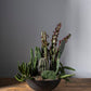 Fortis Bowl By Accent Decor | Decorative Bowls | Modishstore - 9