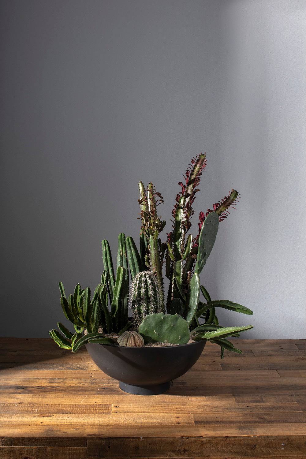 Fortis Bowl By Accent Decor | Decorative Bowls | Modishstore - 9