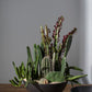 Fortis Bowl By Accent Decor | Decorative Bowls | Modishstore - 10