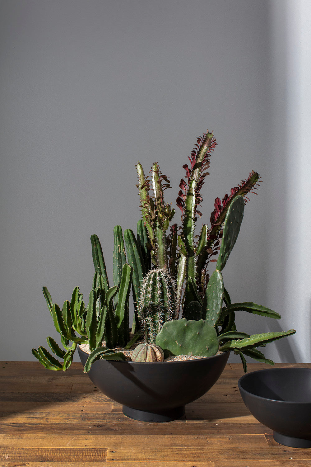 Fortis Bowl By Accent Decor | Decorative Bowls | Modishstore - 10