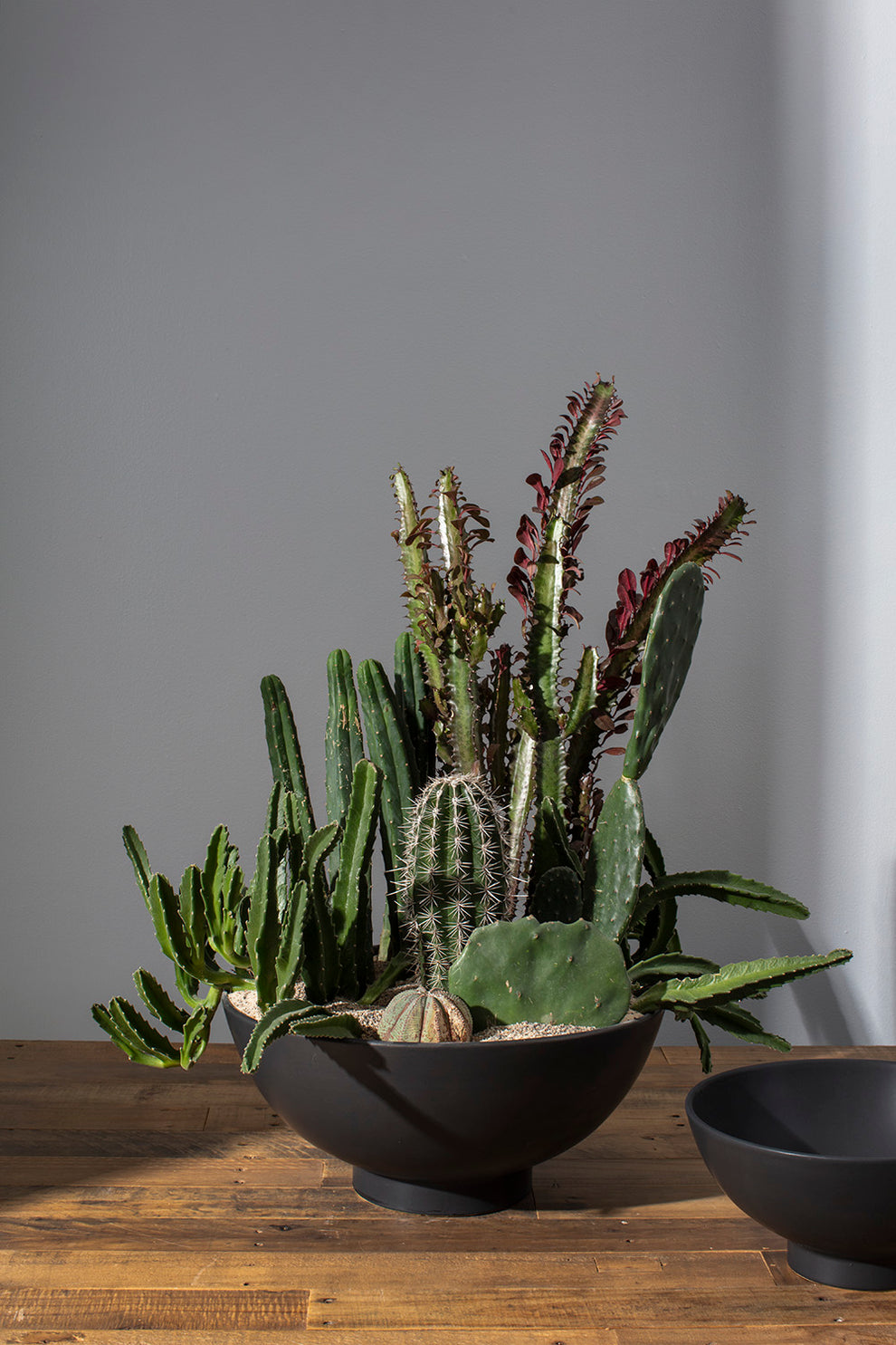 Fortis Bowl By Accent Decor | Decorative Bowls | Modishstore - 10