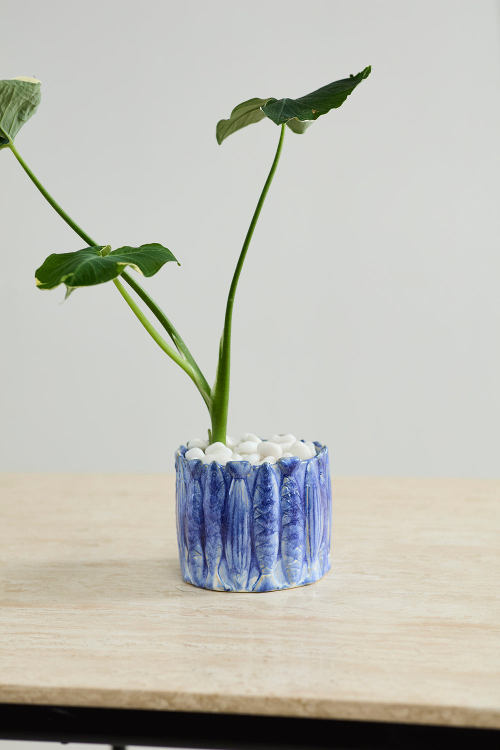 Amalfi Pot Set of 4 By Accent Decor | Planters, Troughs & Cachepots | Modishstore - 6