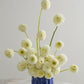 Amalfi Pot Set of 4 By Accent Decor | Planters, Troughs & Cachepots | Modishstore - 4