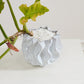 Sono Collection Set of 2 By Accent Decor | Planters, Troughs & Cachepots | Modishstore - 5