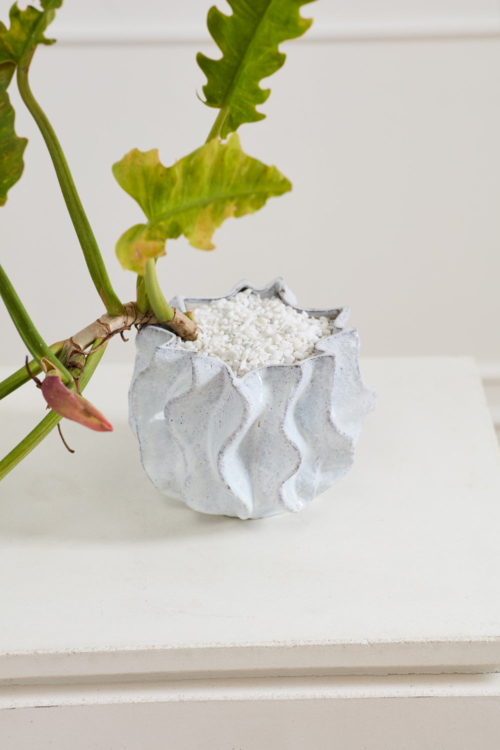 Sono Collection Set of 2 By Accent Decor | Planters, Troughs & Cachepots | Modishstore - 5