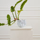 Sono Collection Set of 2 By Accent Decor | Planters, Troughs & Cachepots | Modishstore - 6